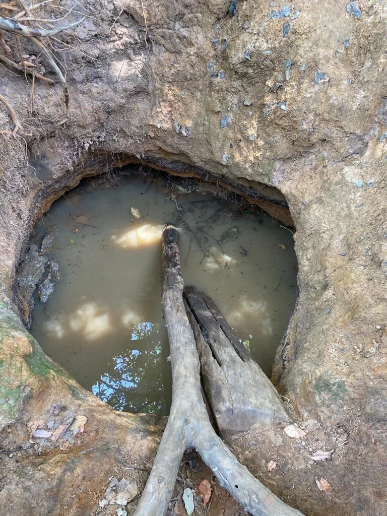Why Wells Fail